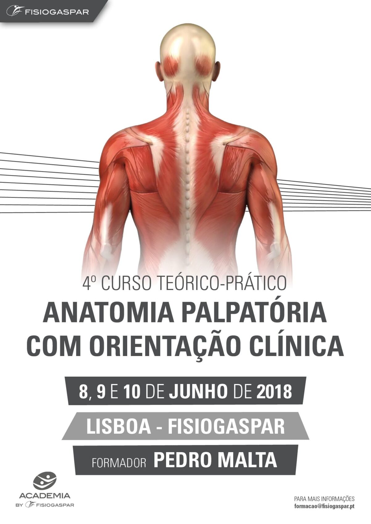anatomia palpat&oacute;ria orienta&ccedil;&atilde;o cl&iacute;nica